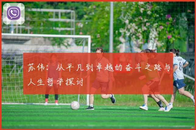 苏伟：从平凡到卓越的奋斗之路与人生哲学探讨