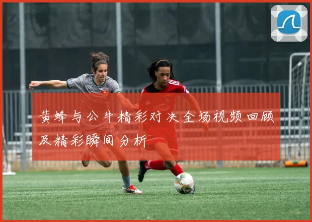黄蜂与公牛精彩对决全场视频回顾及精彩瞬间分析
