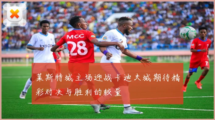 莱斯特城主场迎战卡迪夫城期待精彩对决与胜利的较量