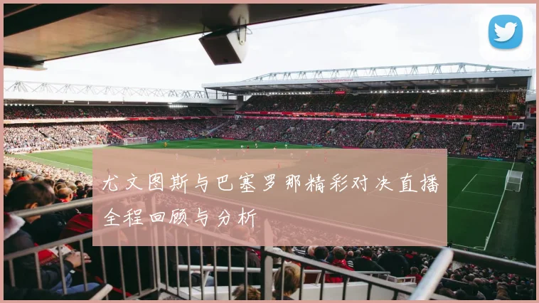 篮球约旦对阵德国比赛分析与胜负推荐策略分享